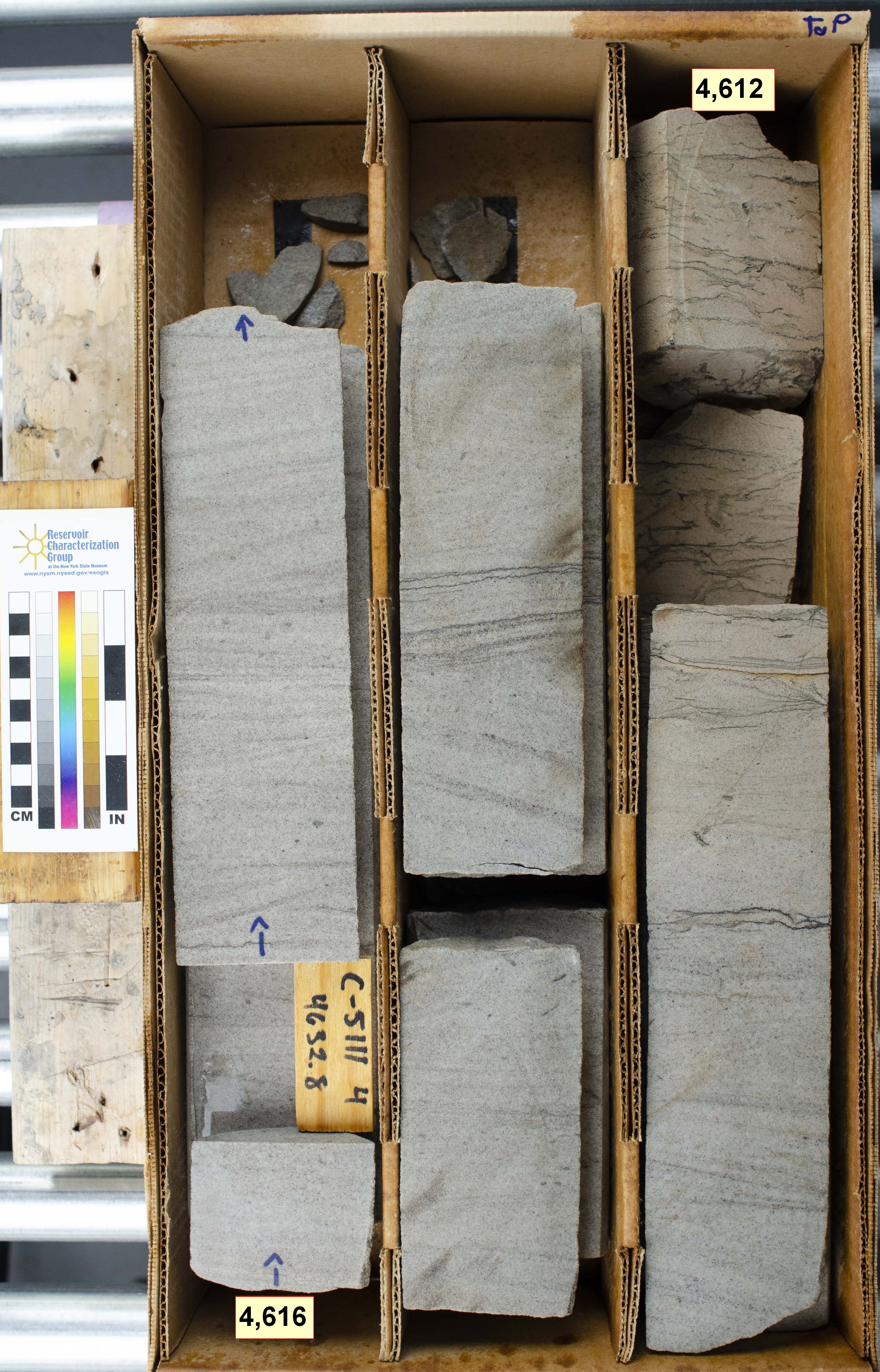 Core 2: Cambrian Rome Formation (cross-bedded and burrowed marine sandstones)